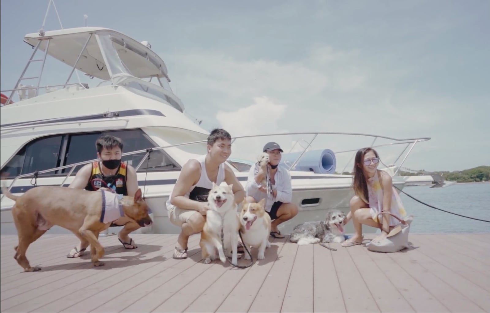 Pet charter Singapore dogs on deck